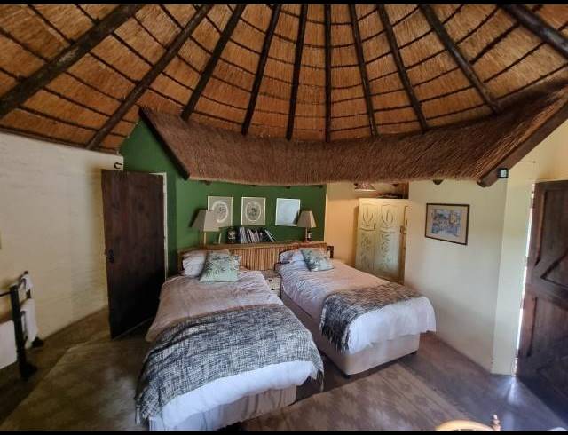 FARM FOR SALE IN LOUIS TRICHARDT RURAL